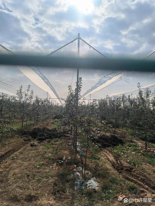 现在工业产品严重过剩,工厂倒闭破产的很多,城市打工越来越难,是不