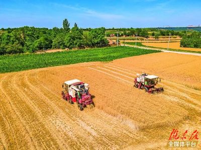 庆阳市全力推进&ldquo;三夏&rdquo;机收 确保实现应收尽收颗粒归仓